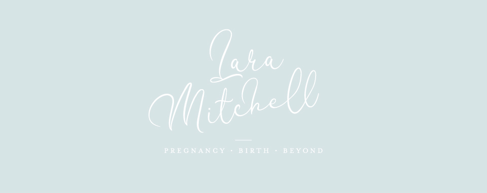 The logo designed by Leaff Design, for Lara Mitchell